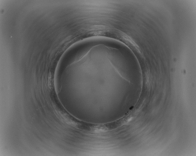 X0000076380073200610161126