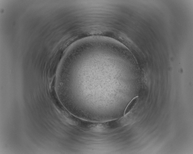 X0000076380074200610161126