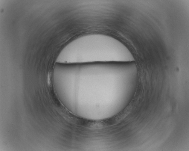 X0000076380075200610161126