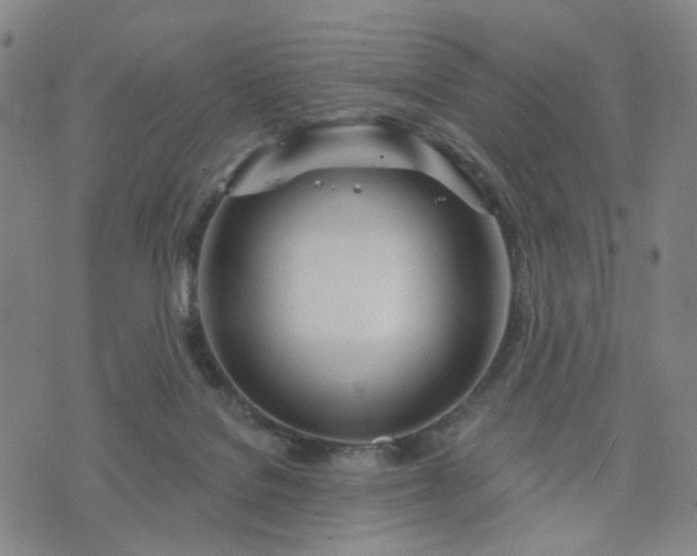 X0000076380076200610161126