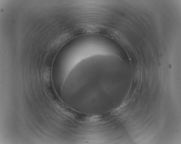 X0000076380078200610161126