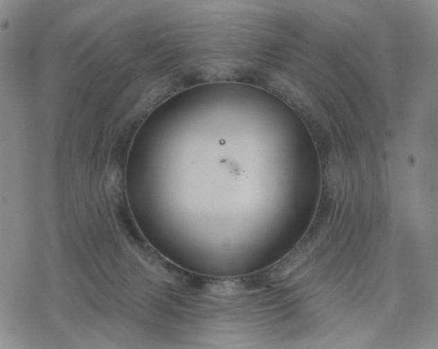 X0000076380079200610161126