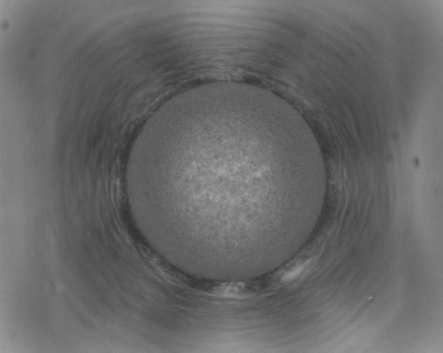 X0000076380080200610161126