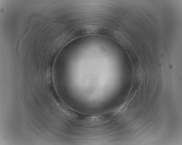 X0000076380082200610161126