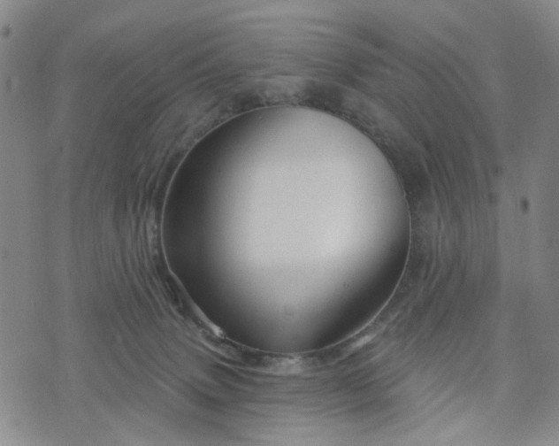 X0000076380083200610161126