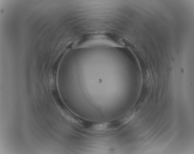 X0000076380084200610161126