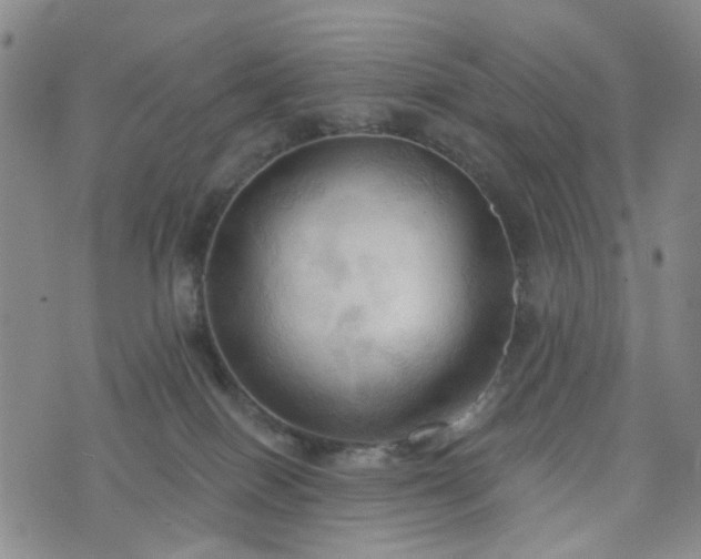 X0000076380086200610161126