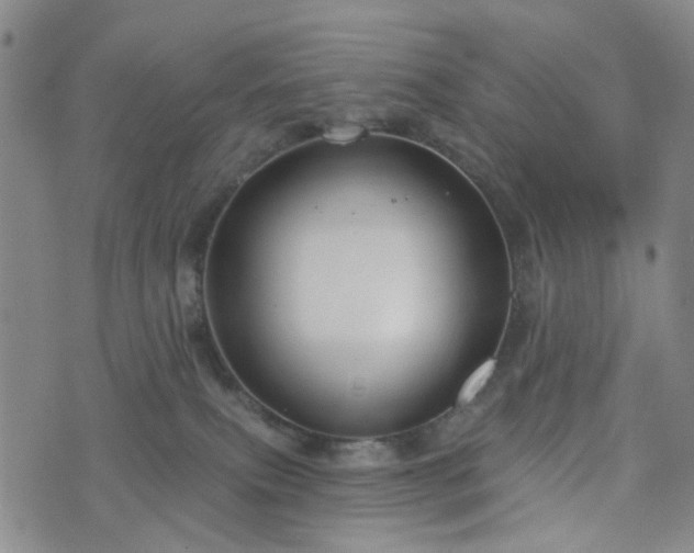 X0000076380087200610161126