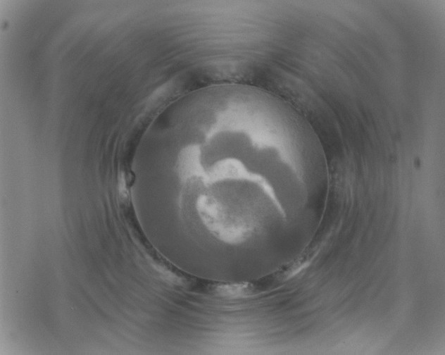 X0000076380089200610161126