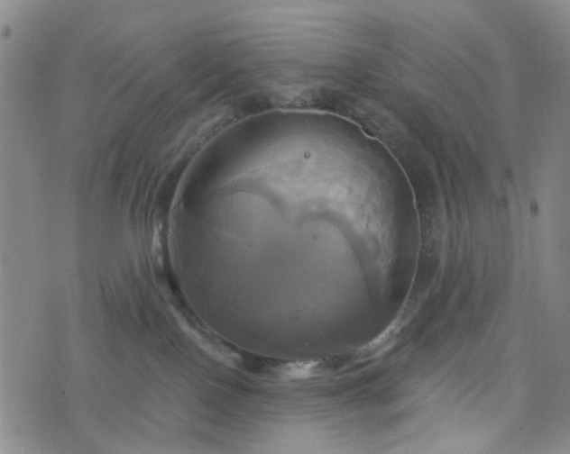 X0000076380090200610161126