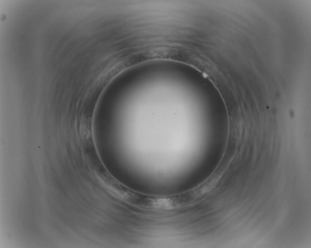 X0000076380091200610161126