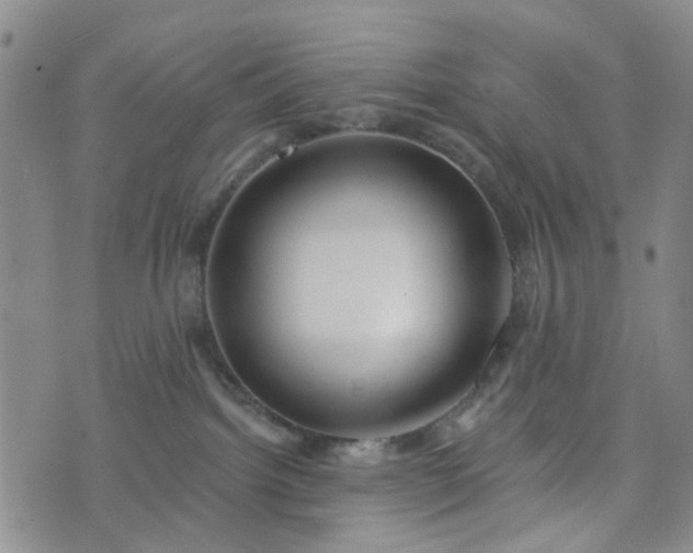 X0000076380092200610161126