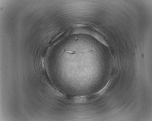 X0000076380094200610161126