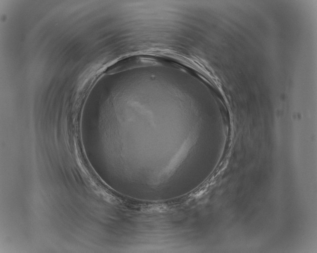 X0000076380097200610161125