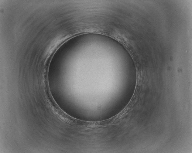 X0000076380098200610161125