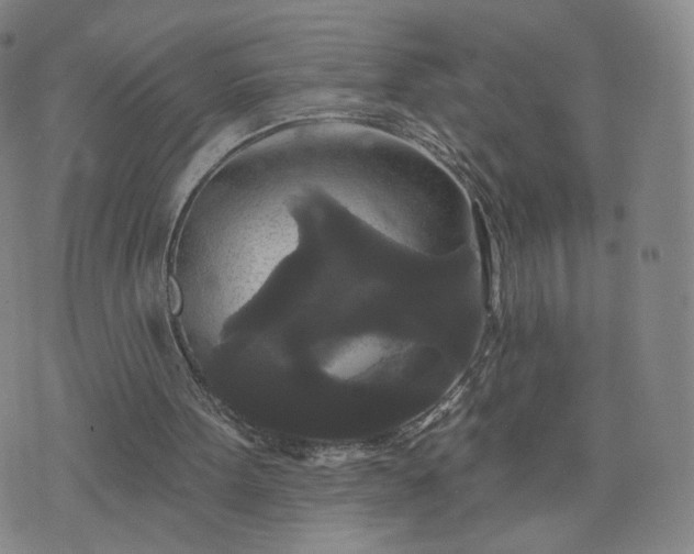 X0000076380099200610161125