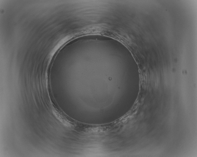 X0000076380100200610161125