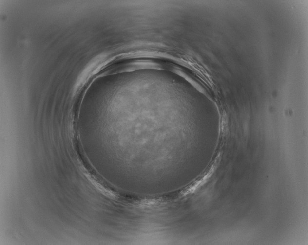 X0000076380101200610161125