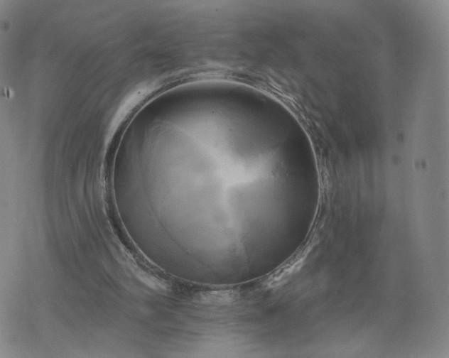 X0000076380102200610161125