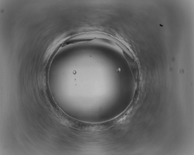 X0000076380103200610161125