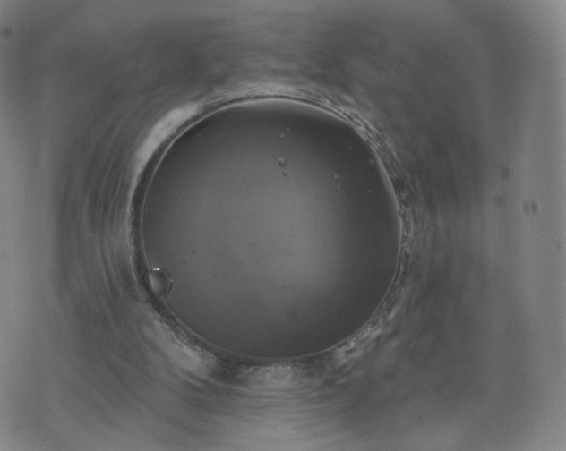 X0000076380104200610161125