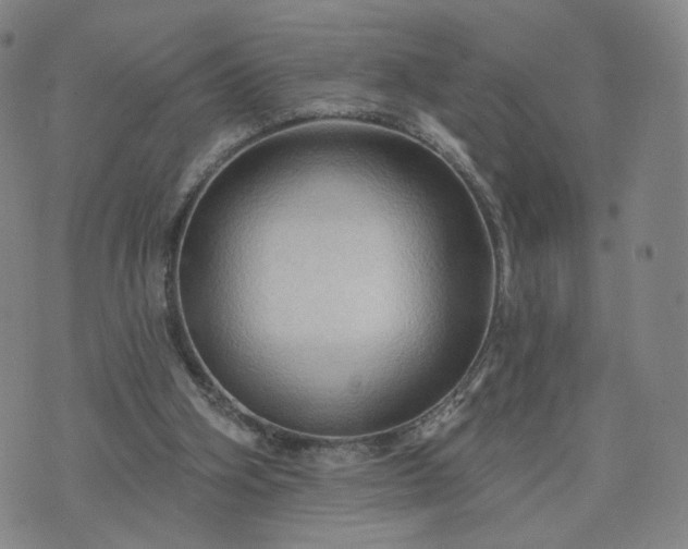 X0000076380106200610161125