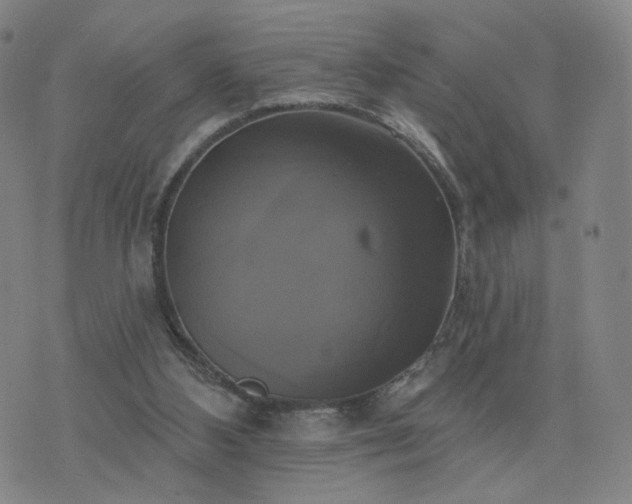 X0000076380108200610161125