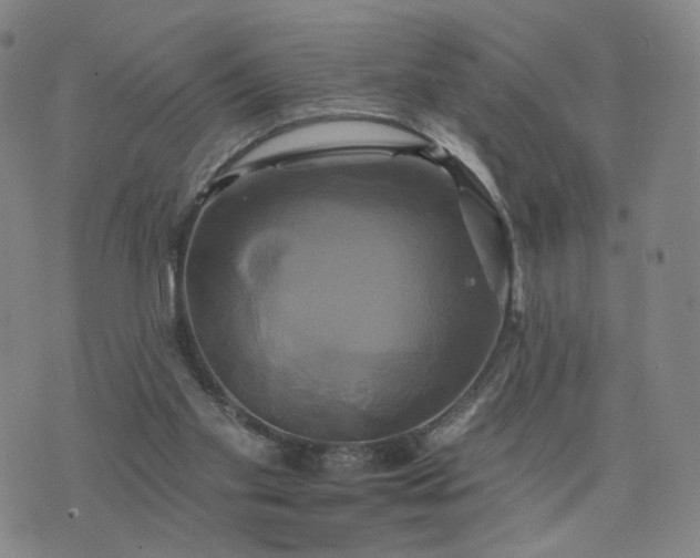 X0000076380109200610161125