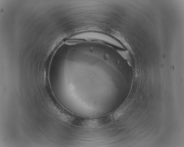 X0000076380110200610161125