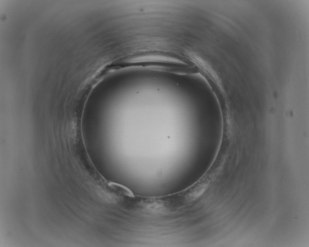 X0000076380113200610161125