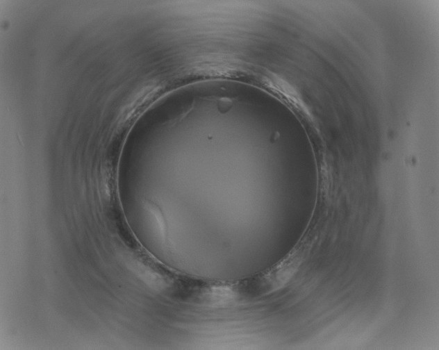 X0000076380114200610161125