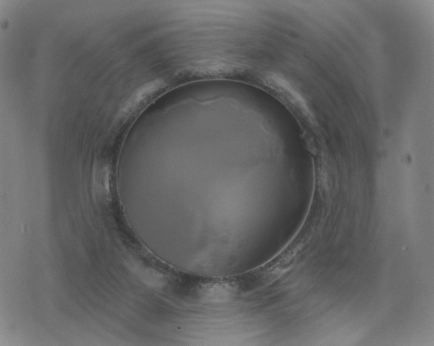 X0000076380115200610161125