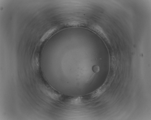 X0000076380116200610161125