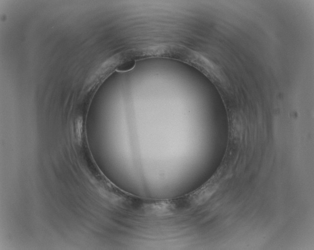 X0000076380118200610161125