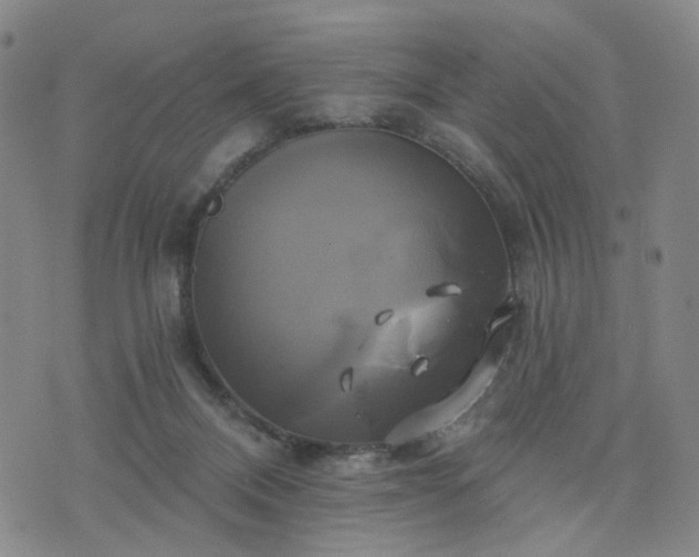 X0000076380120200610161125