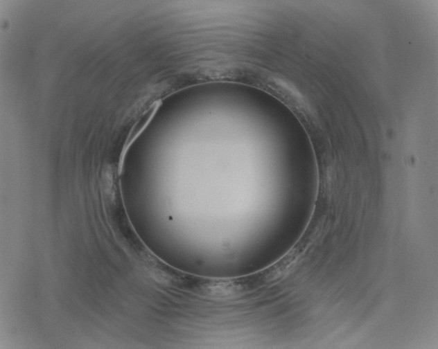 X0000076380121200610161125