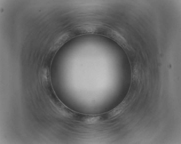 X0000076380122200610161125