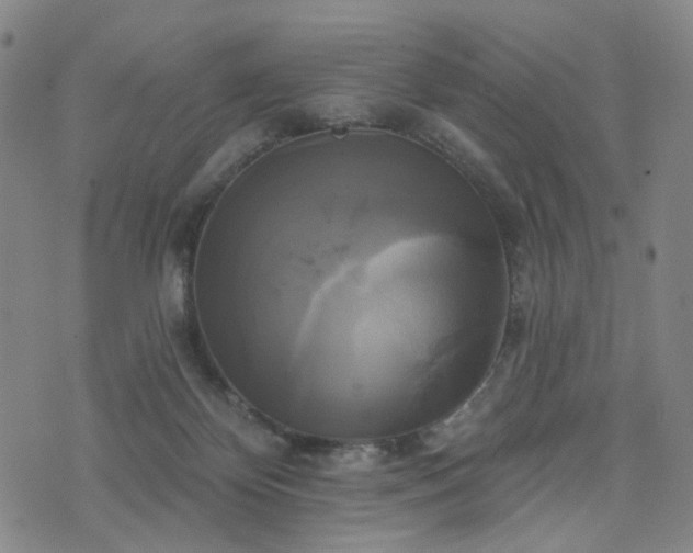 X0000076380124200610161125