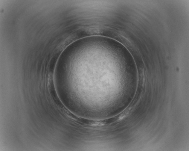 X0000076380125200610161125