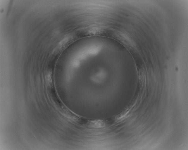 X0000076380127200610161125