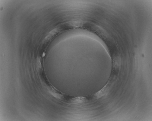 X0000076380128200610161125