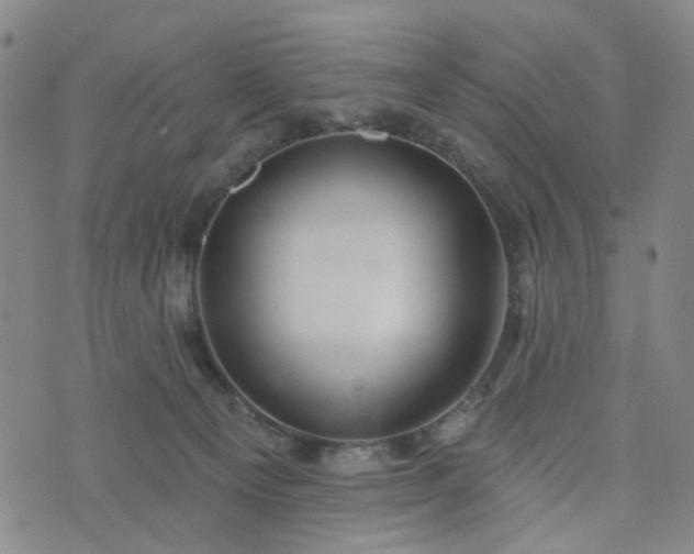 X0000076380129200610161125