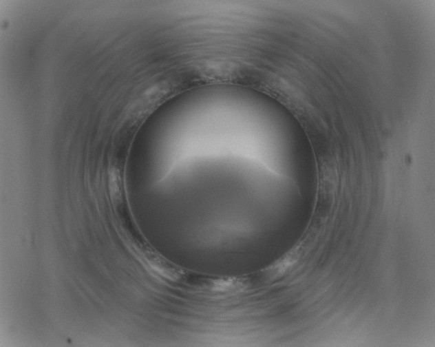 X0000076380130200610161125