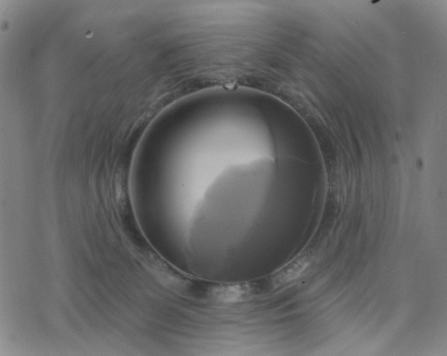 X0000076380131200610161125