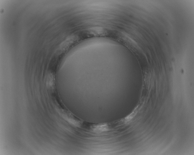 X0000076380132200610161125