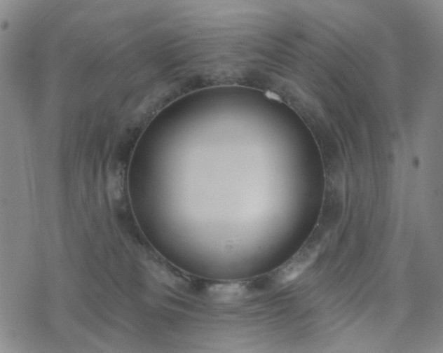 X0000076380133200610161125