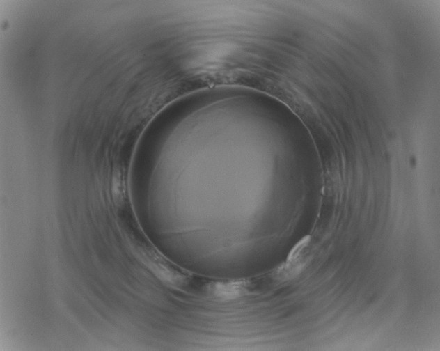 X0000076380134200610161125