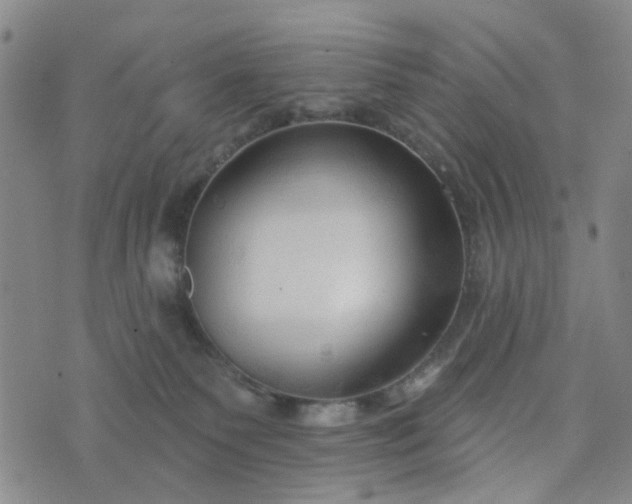 X0000076380135200610161125