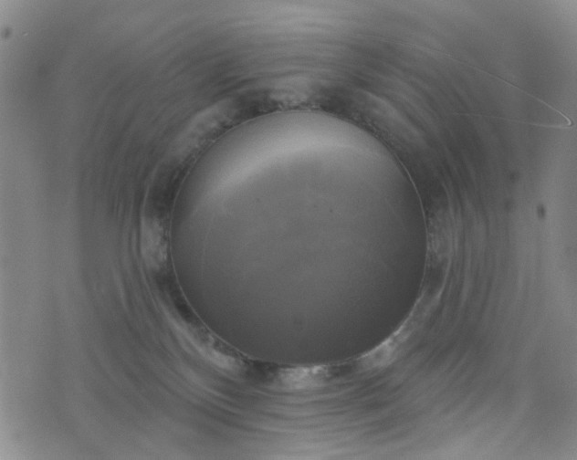 X0000076380136200610161124