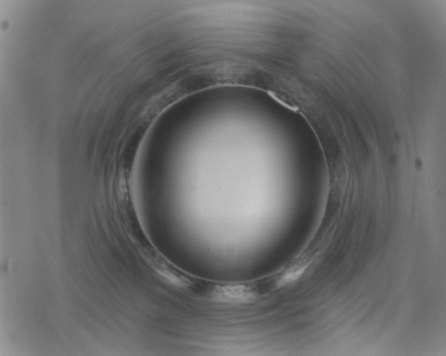 X0000076380137200610161124